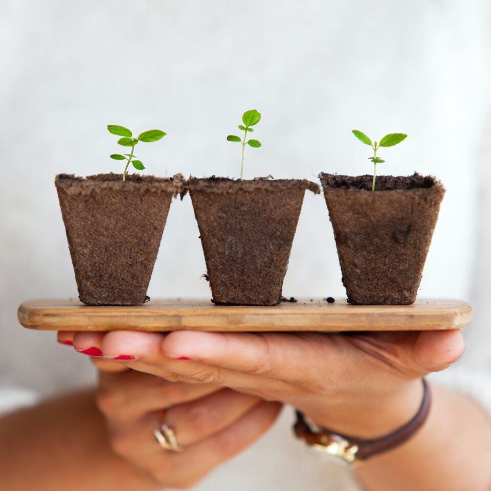 Woman holding plants