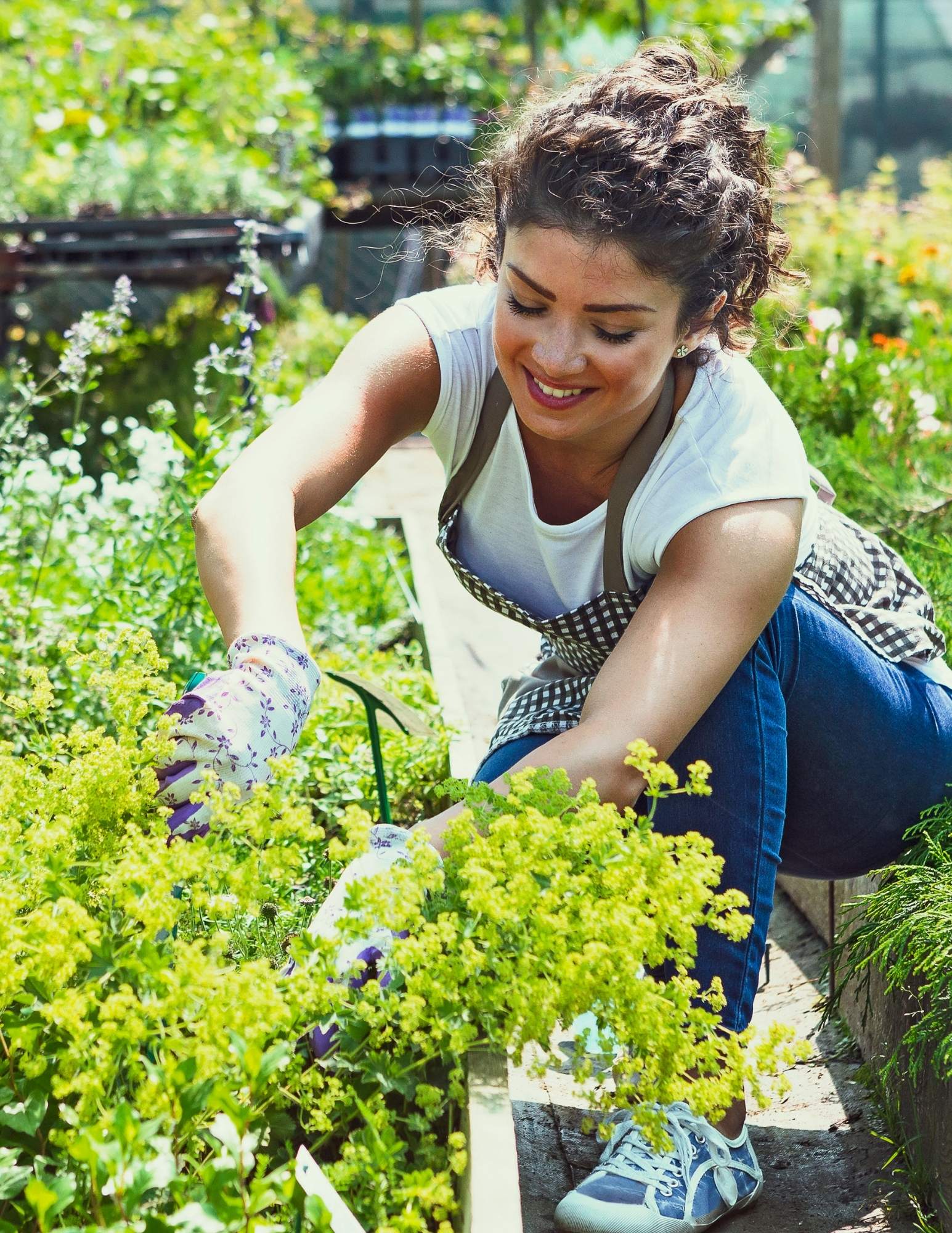 A woman is working in a garden in a greenhouse. A woman is working in a garden in a greenhouse.